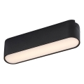 Rabalux - LED Ceiling light for 1-phase rail system LED/6W/230V 3000K 11,5 cm black
