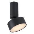 Rabalux - LED Ceiling Light LED/10W/230V 3000K Black, Ø 11 cm