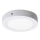 Rabalux - LED Ceiling light LED/12W/230V