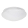 Rabalux - LED Ceiling light LED/12W/230V