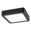 Rabalux - LED Ceiling light LED/15W/230V 3000K 16x16 cm black
