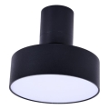 Rabalux - LED Ceiling Light LED/16W/230V 3000K Black pr. 14 cm