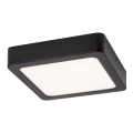 Rabalux - LED Ceiling light LED/17W/230V 17x17 cm