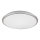 Rabalux - LED Ceiling light LED/18W/230V 4000K silver 27 cm