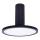 Rabalux - LED Ceiling light LED/20W/230V 3000K black