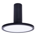 Rabalux - LED Ceiling Light LED/20W/230V 3000K Black Ø 20 cm