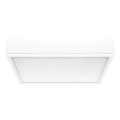 Rabalux - LED Ceiling light LED/22W/230V 3000/4000/6000K 21x21 cm white