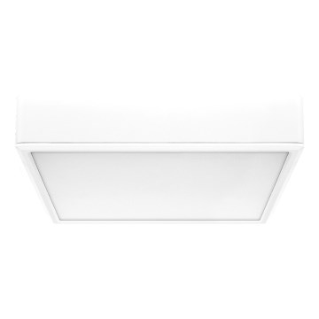 Rabalux - LED Ceiling light LED/22W/230V 3000/4000/6000K 21x21 cm white