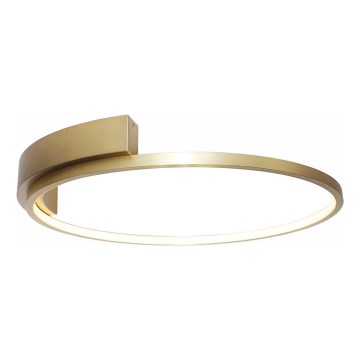 Rabalux - LED Ceiling light LED/23W/230V