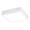 Rabalux - LED Ceiling light LED/24W/230V 22x22 cm