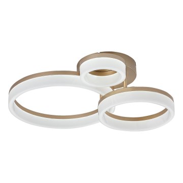 Rabalux - LED Ceiling light LED/24W/230V 3000/4000/6500K gold