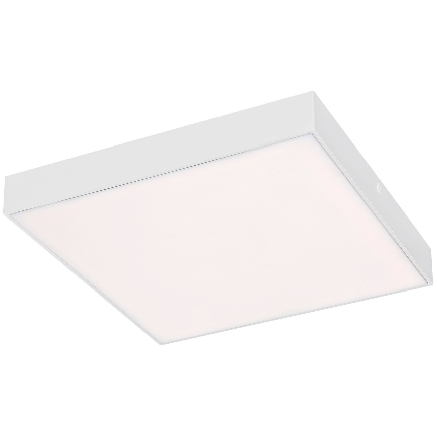 Rabalux - LED Ceiling light LED/24W/230V 3000-6000K IP44 white