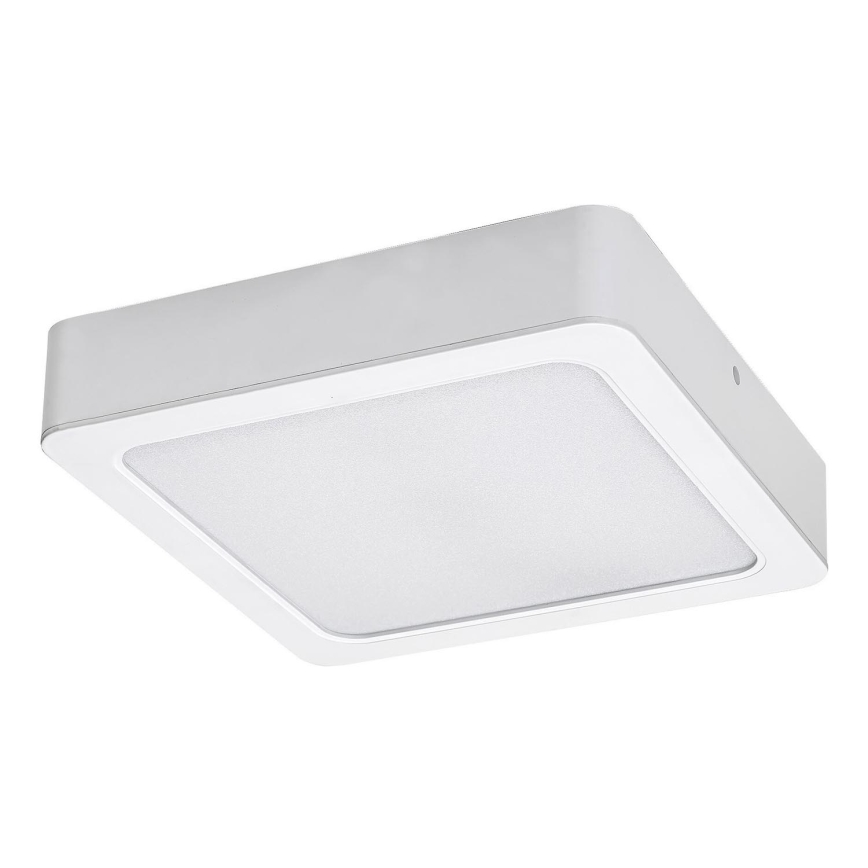 Rabalux - LED Ceiling light LED/24W/230V 3000K 22x22 cm white