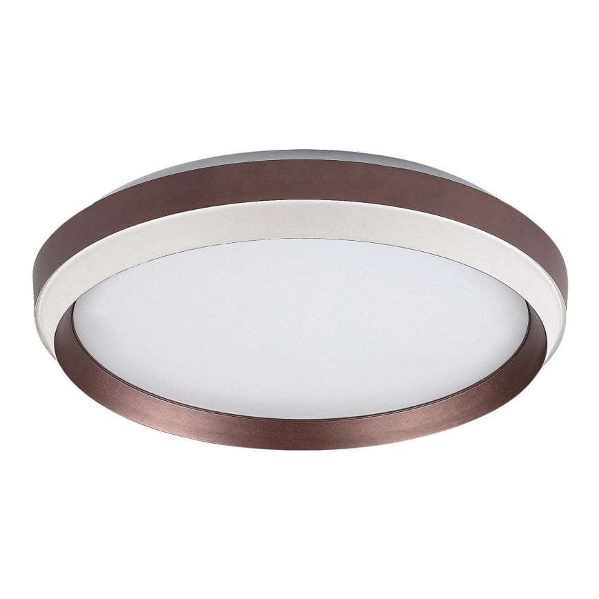 Rabalux - LED Ceiling light LED/24W/230V 3000K