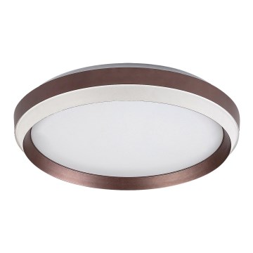 Rabalux - LED Ceiling Light LED/24W/230V 3000K Ø39 cm