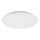 Rabalux - LED Ceiling light LED/24W/230V 4000K 38 cm