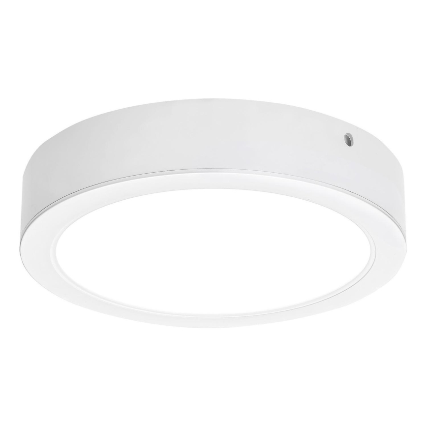 Rabalux - LED Ceiling light LED/24W/230V 4000K d. 22 cm white