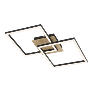 Rabalux - LED Ceiling Light LED/24W/230V 40x40 cm