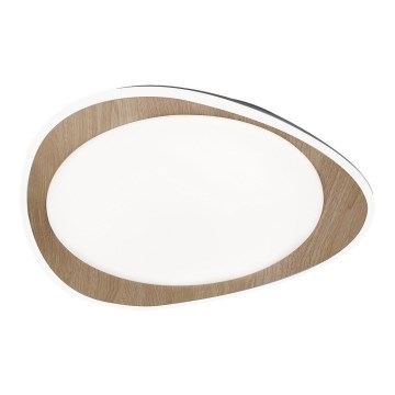 Rabalux - LED Ceiling light LED/24W/230V