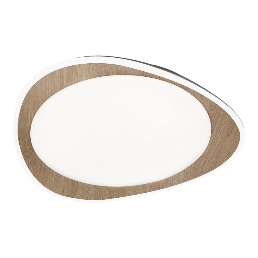 Rabalux - LED Ceiling light LED/24W/230V