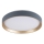 Rabalux - LED Ceiling light LED/25W/230V 3000K d. 38 cm