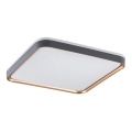 Rabalux - LED Ceiling Light LED/26W/230V 3000K 39.5x39.5 cm