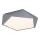 Rabalux - LED Ceiling light LED/30W/230V 3000K
