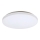 Rabalux - LED Ceiling light LED/32W/230V