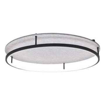 Rabalux - LED Ceiling light LED/40W/230V 3000/4000K