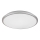 Rabalux - LED Ceiling light LED/45W/230V 4000K silver 48 cm