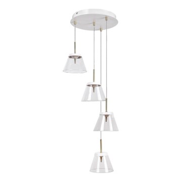 Rabalux - LED Chandelier on a string AVIANA 4xLED/6W/230V