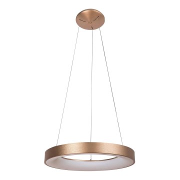 Rabalux - LED Chandelier on a string CARMELLA LED/50W/230V d. 60 cm