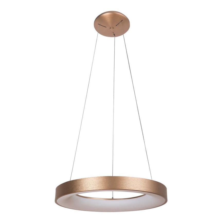 Rabalux - LED Chandelier on a string CARMELLA LED/50W/230V