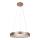 Rabalux - LED Chandelier on a string CARMELLA LED/50W/230V