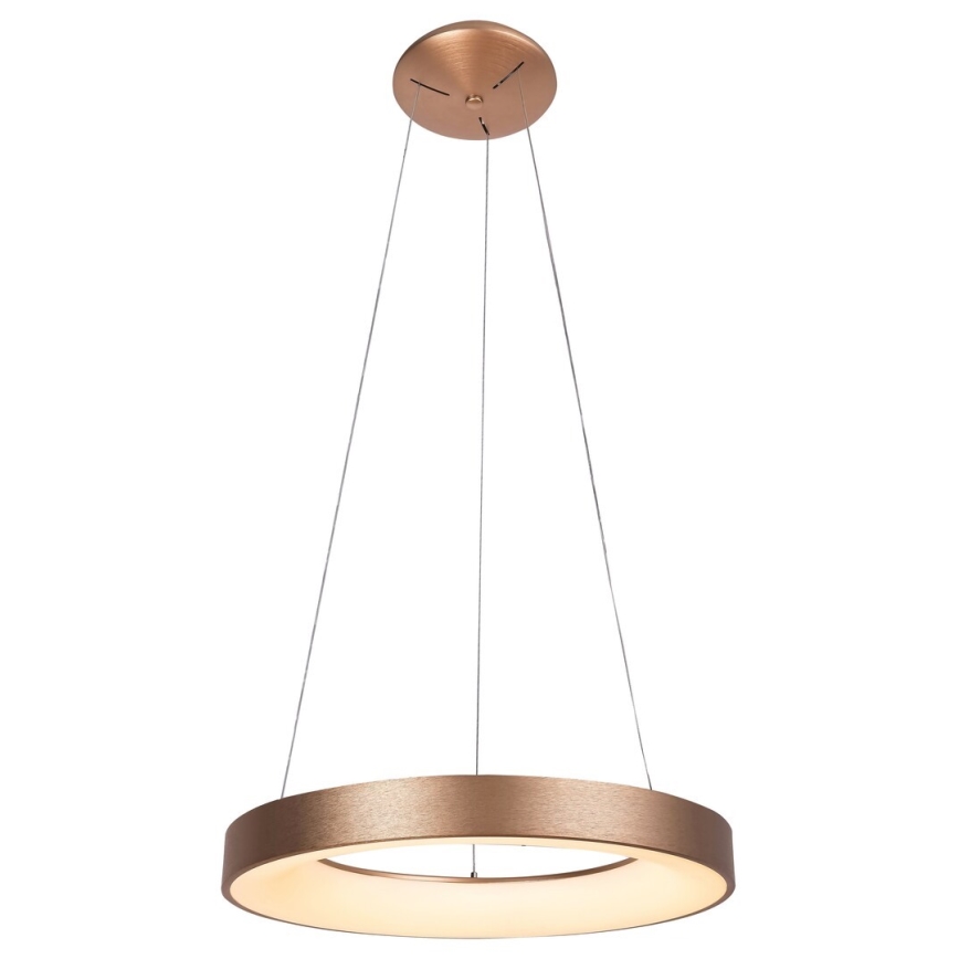 Rabalux - LED Chandelier on a string CARMELLA LED/50W/230V