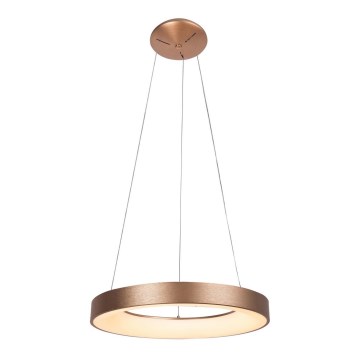 Rabalux - LED Chandelier on a string CARMELLA LED/80W/230V