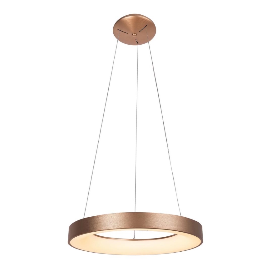Rabalux - LED Chandelier on a string CARMELLA LED/80W/230V