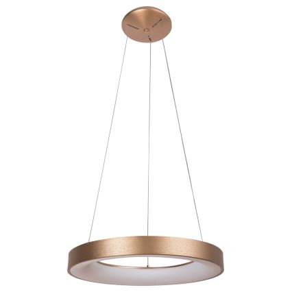 Rabalux - LED Chandelier on a string CARMELLA LED/80W/230V
