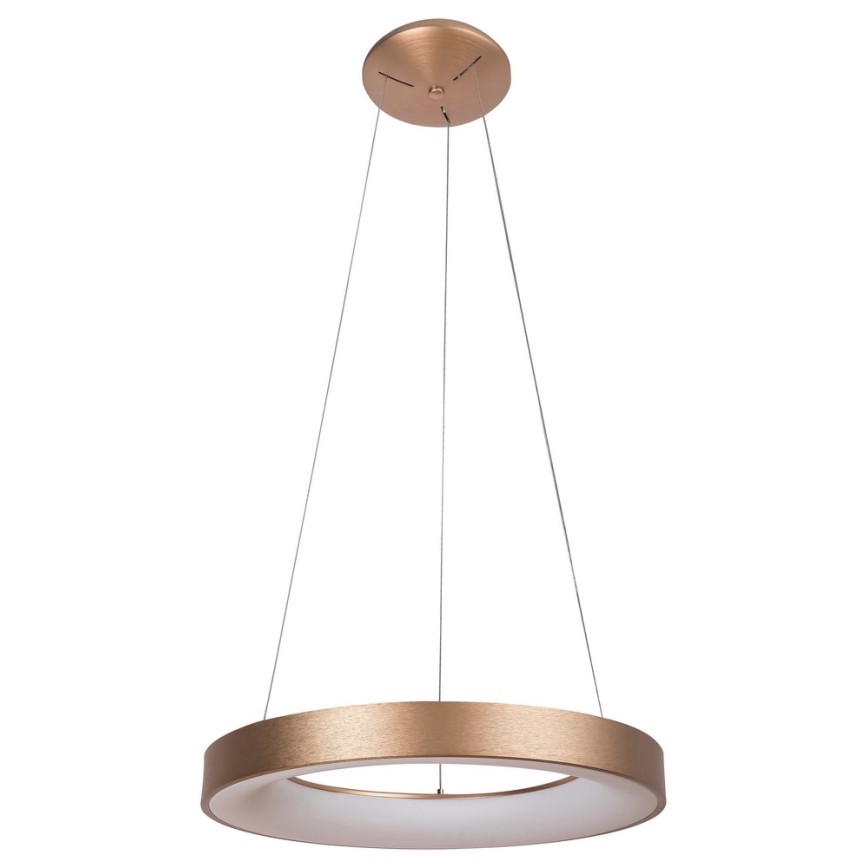 Rabalux - LED Chandelier on a string CARMELLA LED/80W/230V