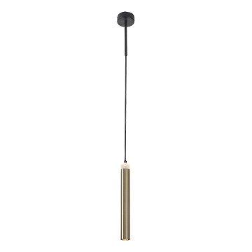 Rabalux - LED Chandelier on a string LED/10W/230V 4000K black/gold