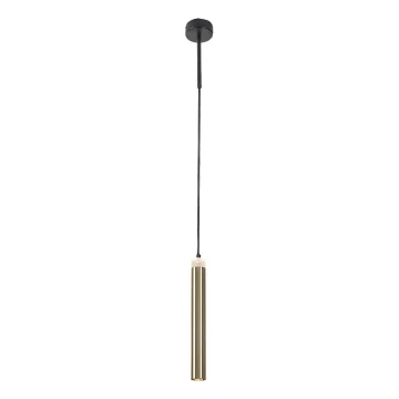 Rabalux - LED Chandelier on a string LED/10W/230V 4000K black/gold
