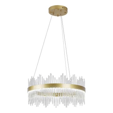 Rabalux - LED Chandelier on a string LED/36W/230V 3000/4000/6000K gold