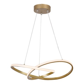 Rabalux - LED Chandelier on a string LED/36W/230V 3000K gold