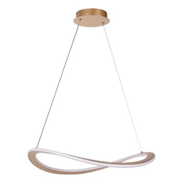 Rabalux - LED Chandelier on a string LED/40W/230V 3000K