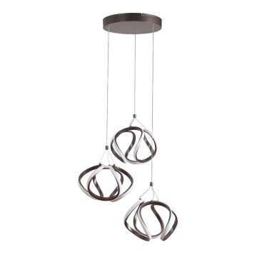 Rabalux - LED Chandelier on a string LED/50W/230V