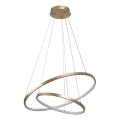 Rabalux - LED Dimmable Cable Pendant Light LED/75W/230V 3000-6500K + Remote Control
