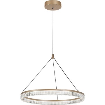 Rabalux - LED Dimmable Cable-Suspended Pendant Light LED/24W/230V 3000-6500K + Remote Control