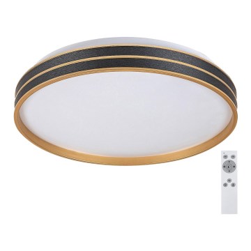 Rabalux - LED Dimmable ceiling light LED/24W/230V 3000-6500K + remote control