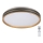 Rabalux - LED Dimmable ceiling light LED/24W/230V 3000-6500K + remote control