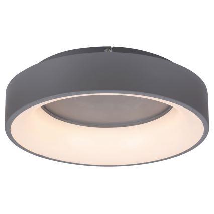Rabalux - LED Dimmable ceiling light LED/24W/230V round 3000-6000K + remote control